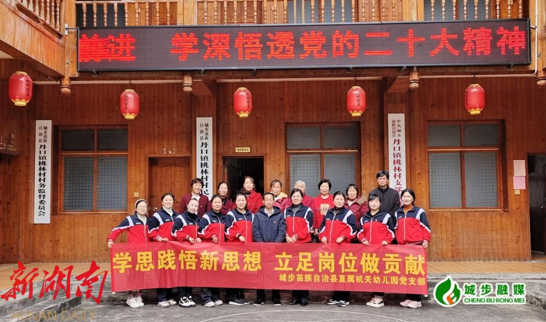 城步机关幼儿园开展“学思践悟新思想 立足岗位做贡献”主题党日活动_邵阳头条网